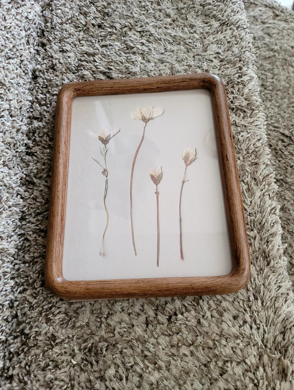 Target Brown Hearth & Hand Picture Frame Backing